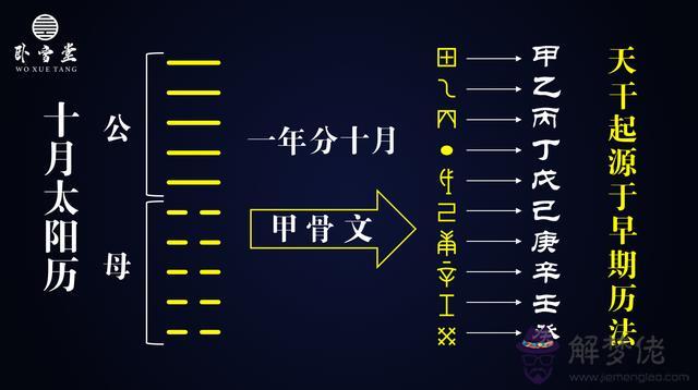 八字天干地支各代表什麼意思