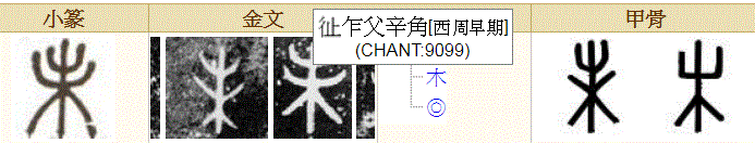 女人八字帶陽叉指的是什麼意思