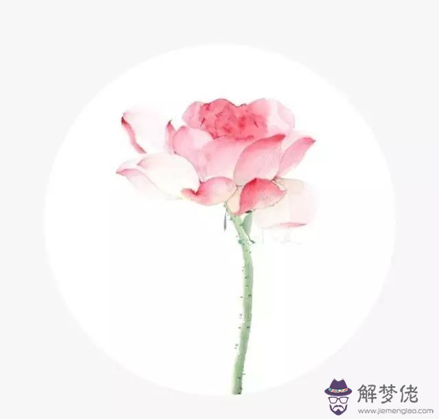 算命人說順其自然是什麼意思