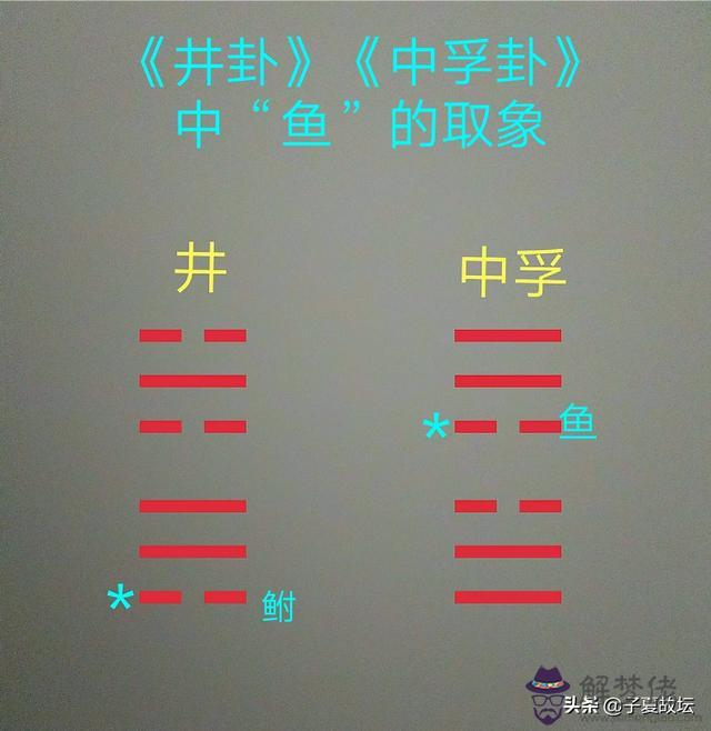 周易里沒有眼睛的魚是什麼意思