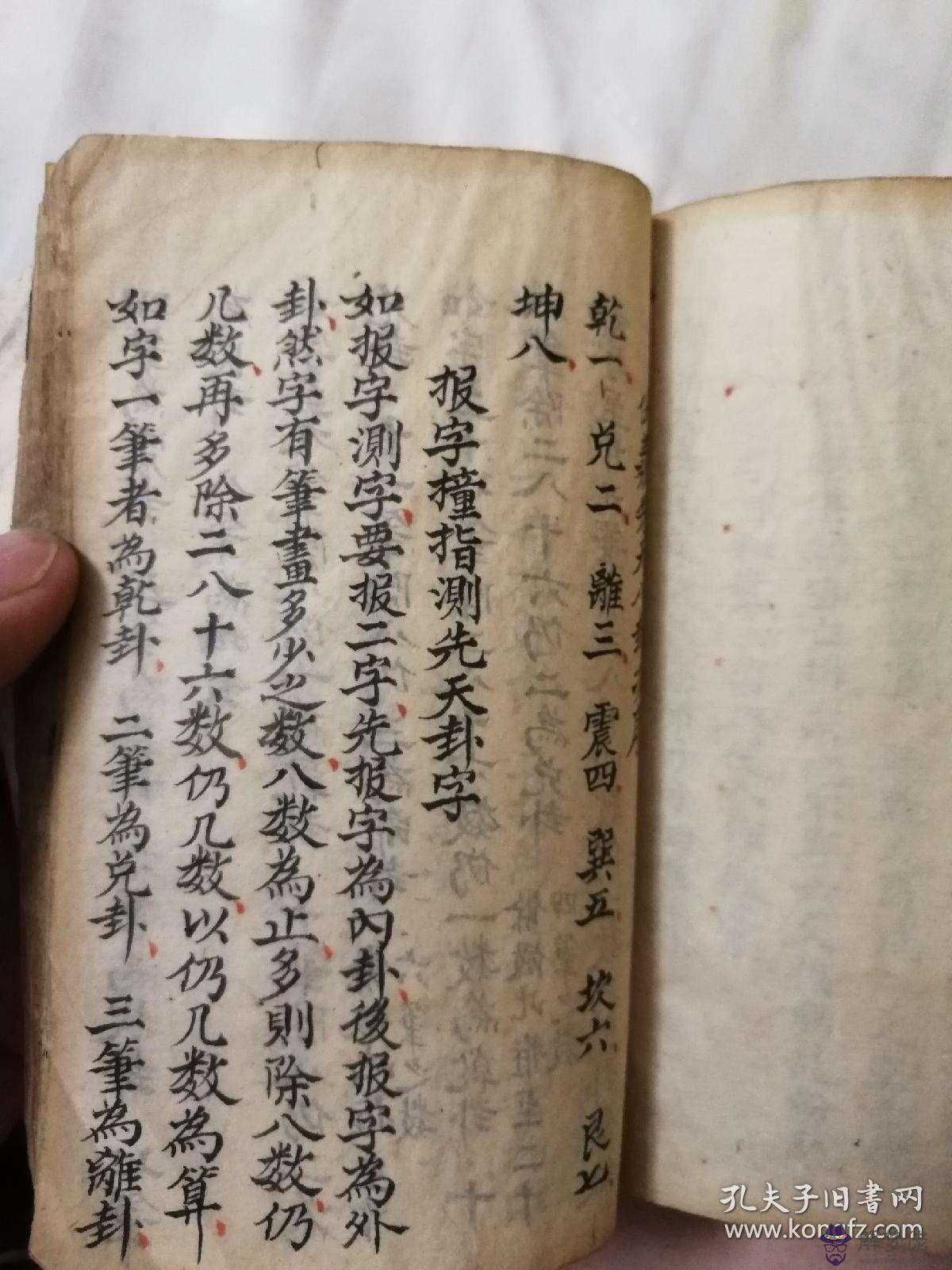 包含1986年2月5日八字算命的詞條