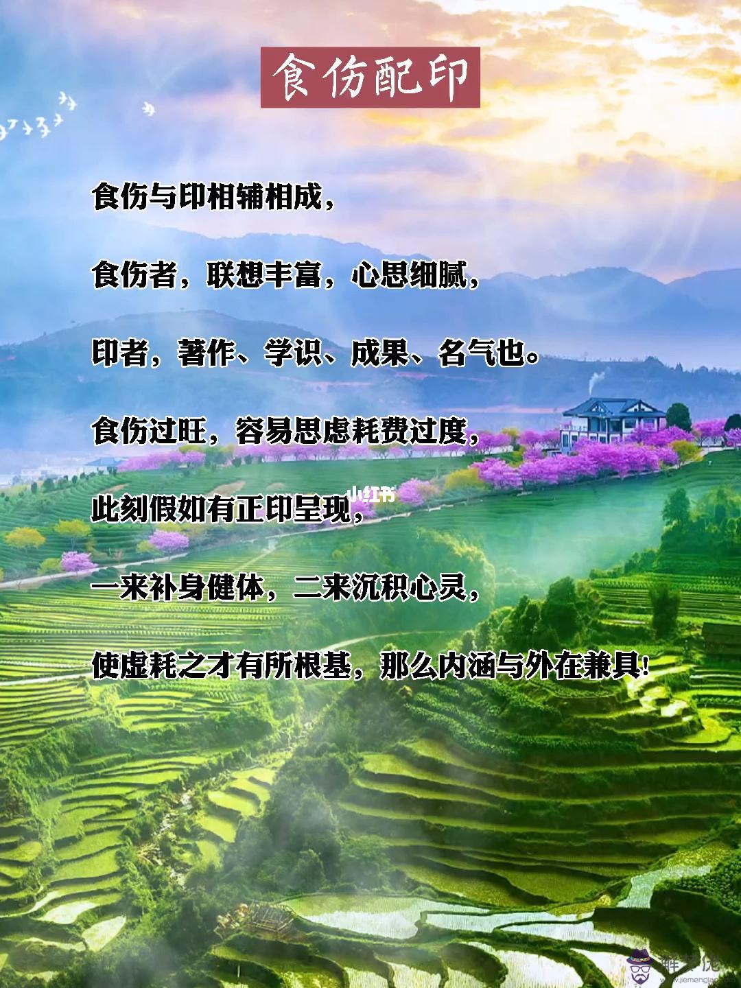 高格局的從弱八字