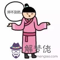 鼠和牛八字哪里不合