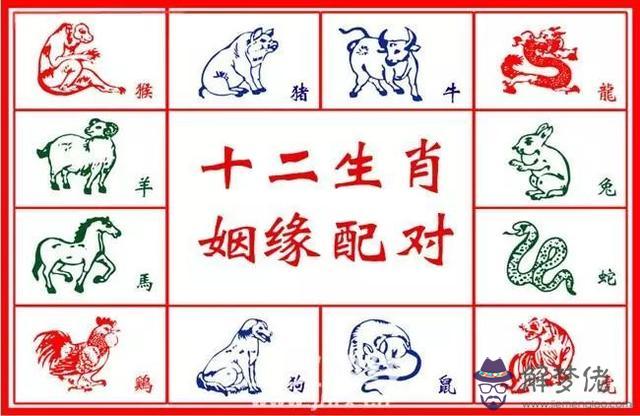 鼠和牛八字哪里不合