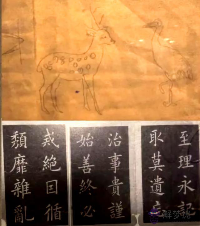 算命犯將軍關什麼意思