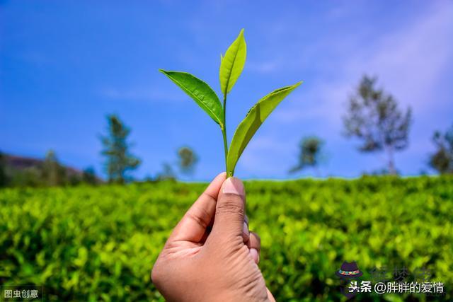 渴望命運的波瀾什麼意思