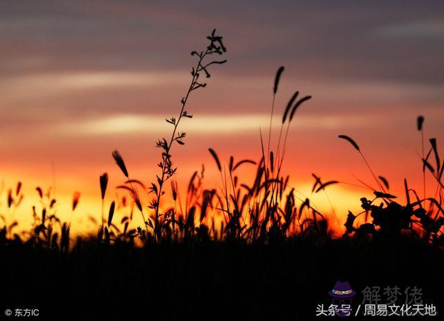 算命說的不是本氣通根是什麼意思