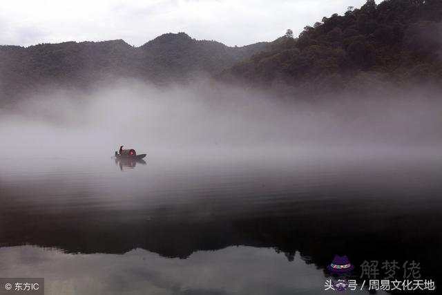 算命說的不是本氣通根是什麼意思