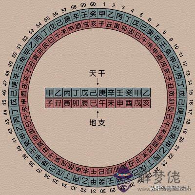 八字純陽身弱什麼意思