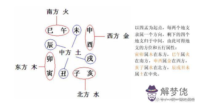 如何看懂八字排盤基本知識