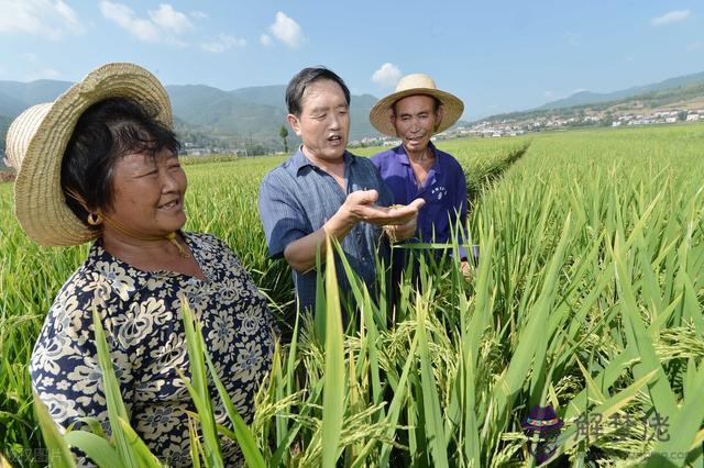 算命說睛天打雷什麼意思