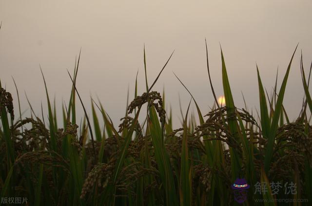 算命說睛天打雷什麼意思