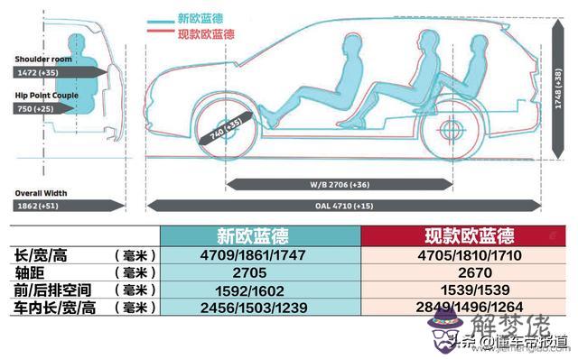 馬鞍鼻八字紋