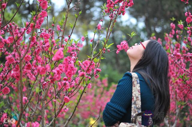 八字好桃花是什麼意思