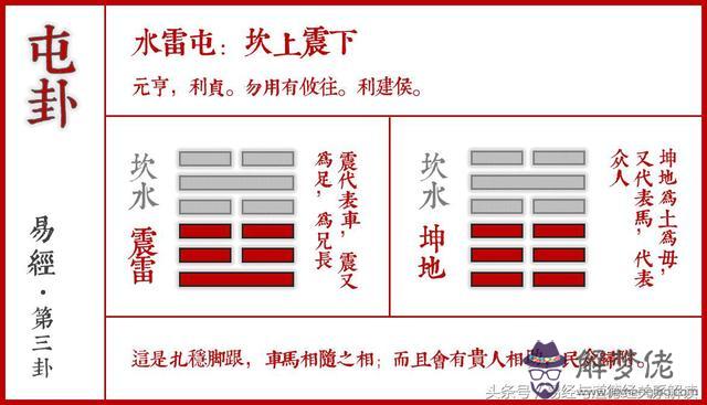 易經中鹿代表什麼意思