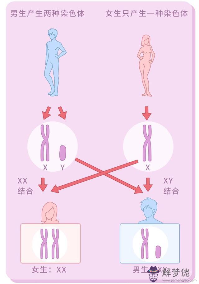 算命說雙性人什麼意思