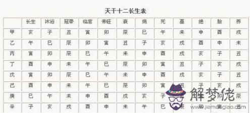 八字五行己是什麼意思