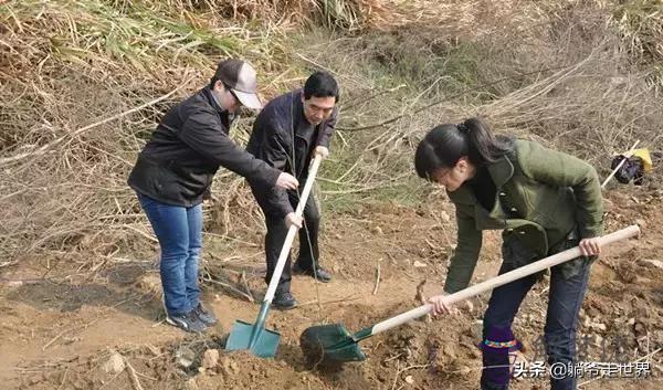 算命說我包孝什麼意思