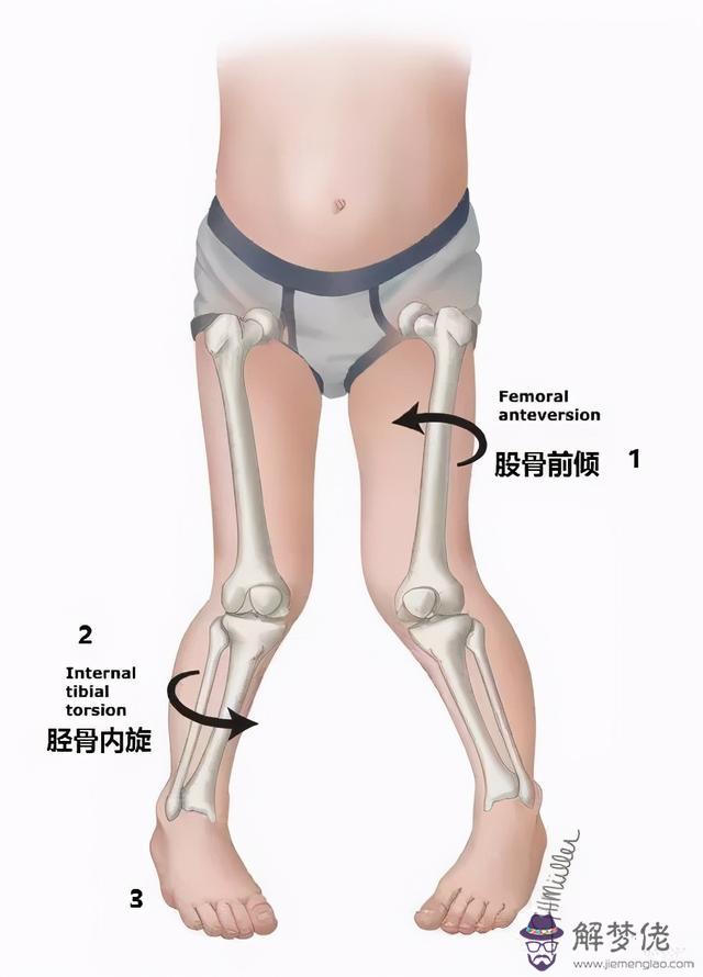 鞋子呈八字形狀