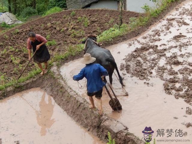 算命的說女人險達什麼意思