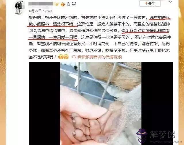 算命半子是什麼意思