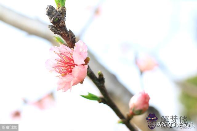 算命里面劫財什麼意思