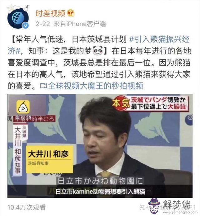 熊貓走路是八字步嗎