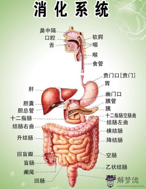 眼睛下方有條八字溝叫什麼