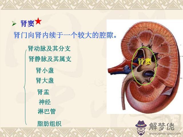 眼睛下方有條八字溝叫什麼