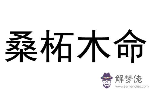 八字日柱楊柳木命是什麼意思