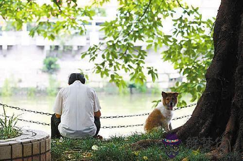 算命說破胎是什麼意思