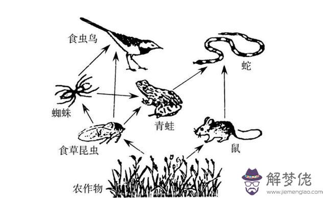 算命坐地死的意思是什麼