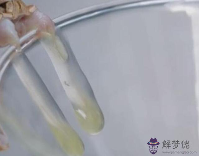 算命蛇關什麼意思是什麼