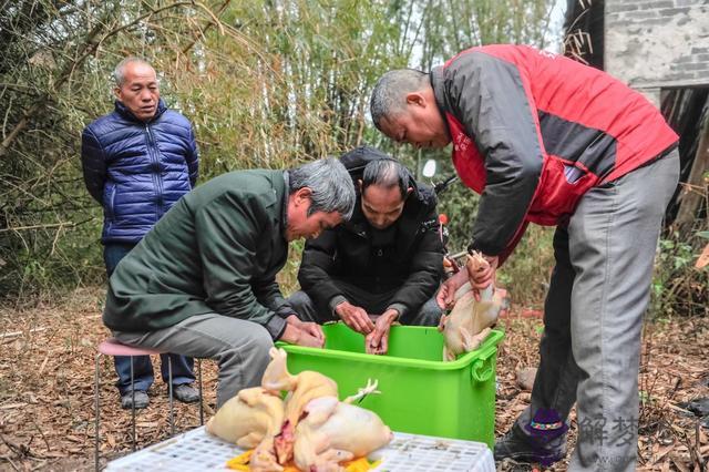 算命說虎坐中堂什麼意思