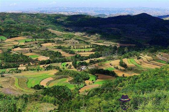 周強--岳陽市開發區八字門中南市場E區8棟118號