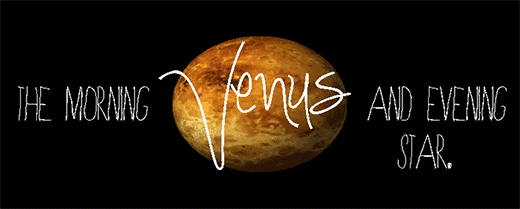 八字命理分析金星是什麼意思