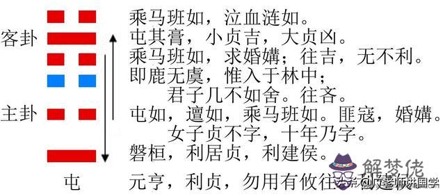 八字命盤里的乙是什麼意思