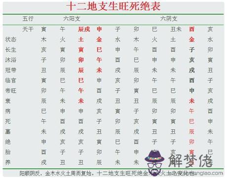 生辰測五行八字:名字生辰八字查詢