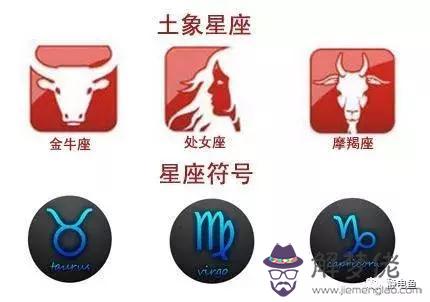 八字金星是什麼意思