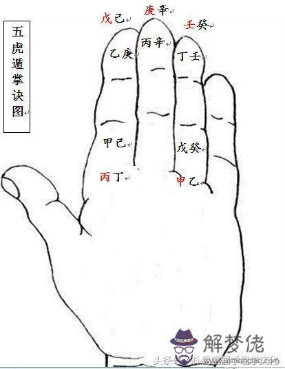 批八字顯示食什麼意思