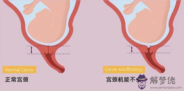 算命孕安是什麼意思