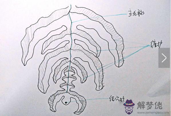 《風水學》看透你的人生，主宰你的命運，尋找你的龍脈