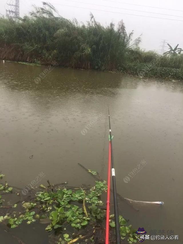 算命釣魚命是什麼意思