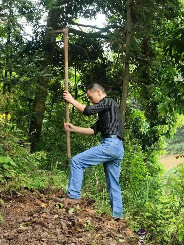 算命說要吃百家飯是什麼意思