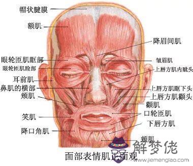 手勢八字加笑臉什麼意思