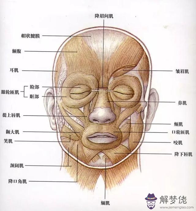 手勢八字加笑臉什麼意思