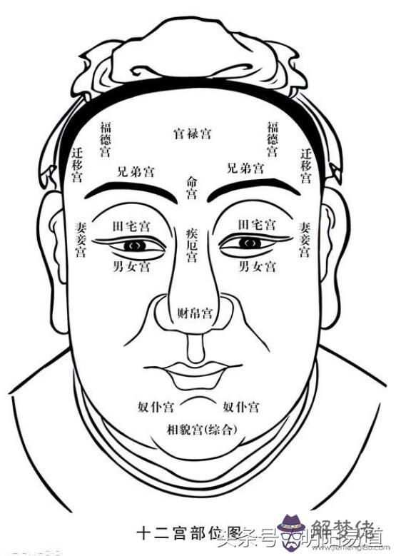 算命說占伺口什麼意思