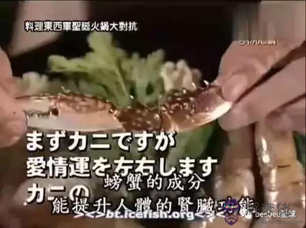 算命中的料理是什麼意思