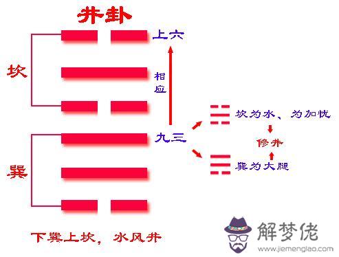 井底泉水之命運什麼意思