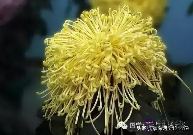 易經131419是什麼意思